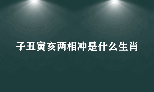 子丑寅亥两相冲是什么生肖