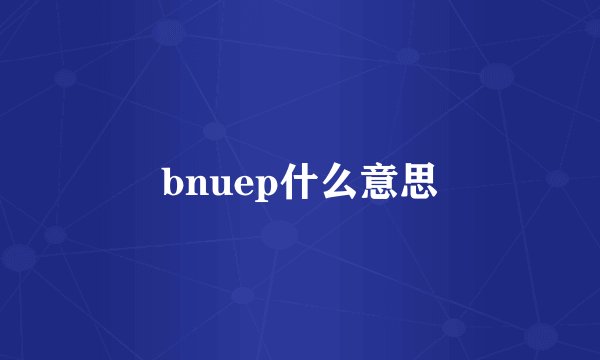 bnuep什么意思
