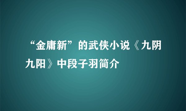 “金庸新”的武侠小说《九阴九阳》中段子羽简介