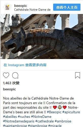 惊呆了!18万只蜜蜂还活着 这到底是个什么梗?