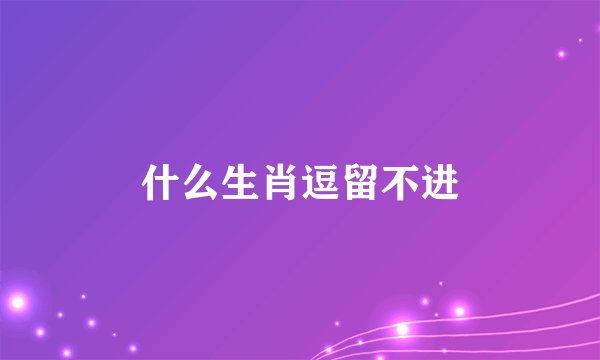 什么生肖逗留不进