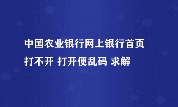 中国农业银行网上银行首页 打不开 打开便乱码 求解