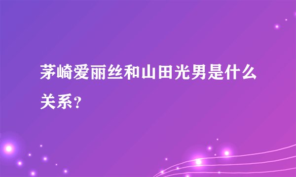 茅崎爱丽丝和山田光男是什么关系？
