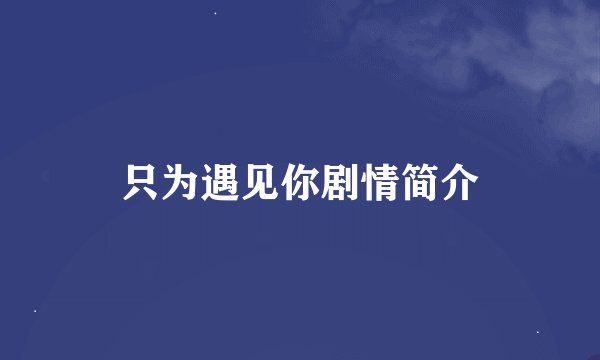 只为遇见你剧情简介