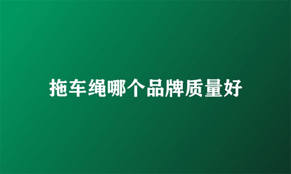 拖车绳哪个品牌质量好