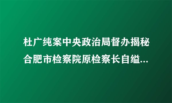 杜广纯案中央政治局督办揭秘合肥市检察院原检察长自缢而死惊人内幕