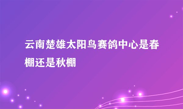 云南楚雄太阳鸟赛鸽中心是春棚还是秋棚