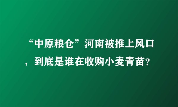 “中原粮仓”河南被推上风口，到底是谁在收购小麦青苗？