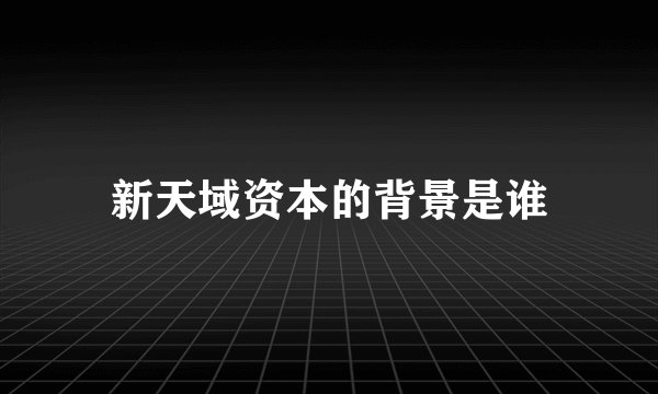 新天域资本的背景是谁