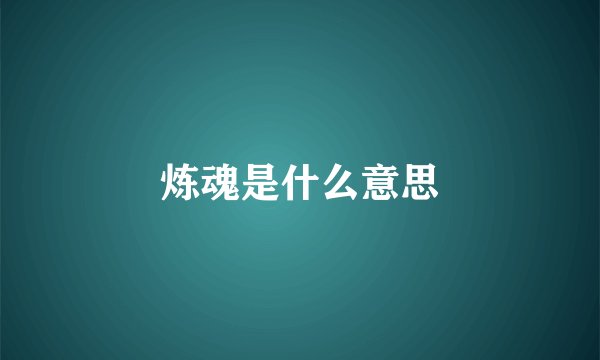 炼魂是什么意思