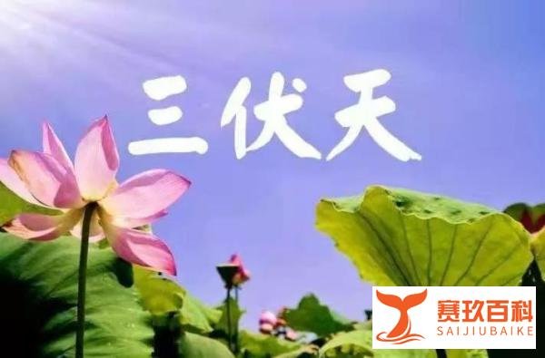 今日夏至,2021年入伏时间表:啥时候入伏、出伏,共多少天?