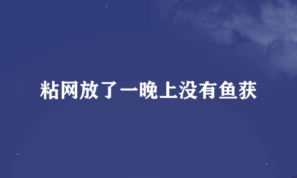 粘网放了一晚上没有鱼获