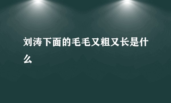 刘涛下面的毛毛又粗又长是什么