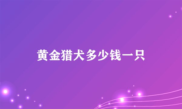 黄金猎犬多少钱一只