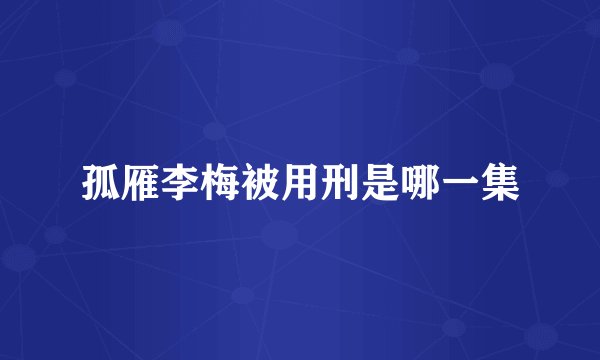 孤雁李梅被用刑是哪一集