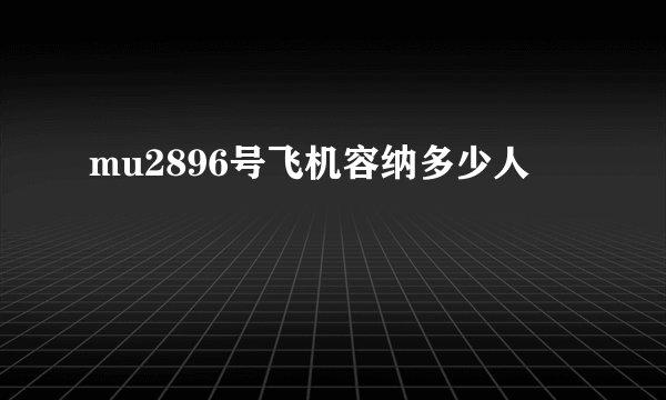 mu2896号飞机容纳多少人