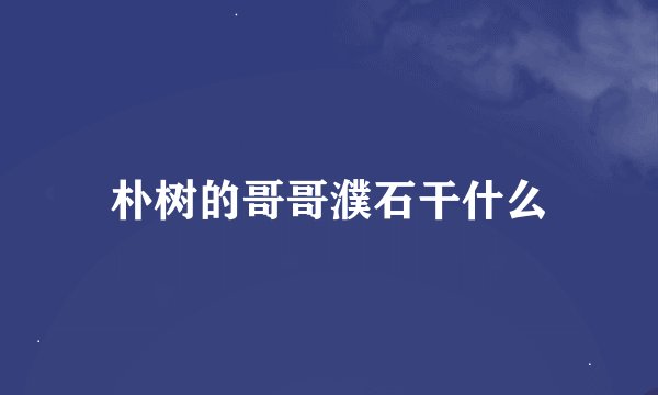 朴树的哥哥濮石干什么