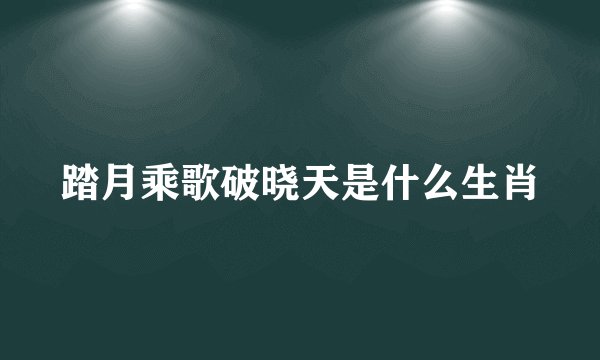 踏月乘歌破晓天是什么生肖
