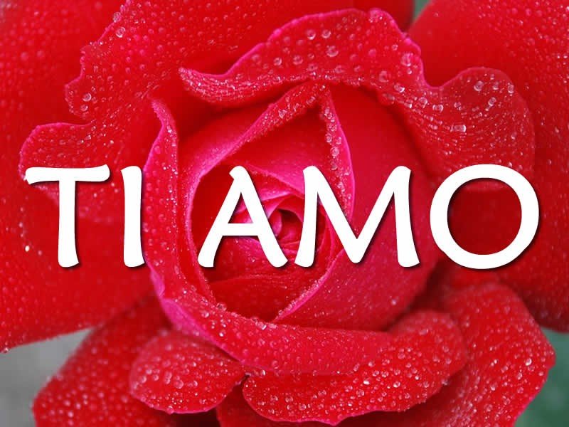 ti amo的中文是什么