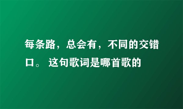 每条路，总会有，不同的交错口。 这句歌词是哪首歌的