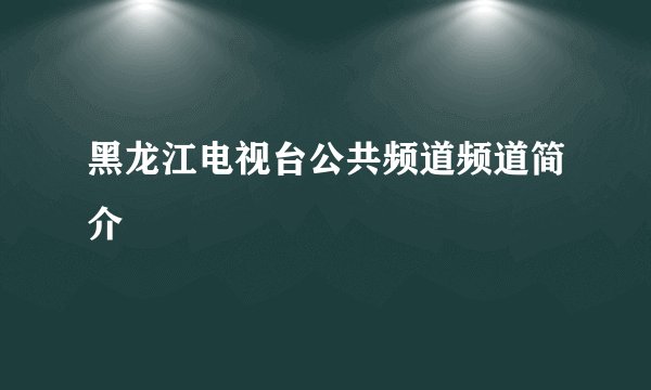 黑龙江电视台公共频道频道简介