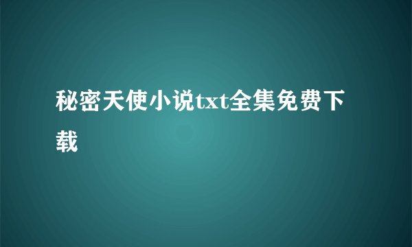 秘密天使小说txt全集免费下载