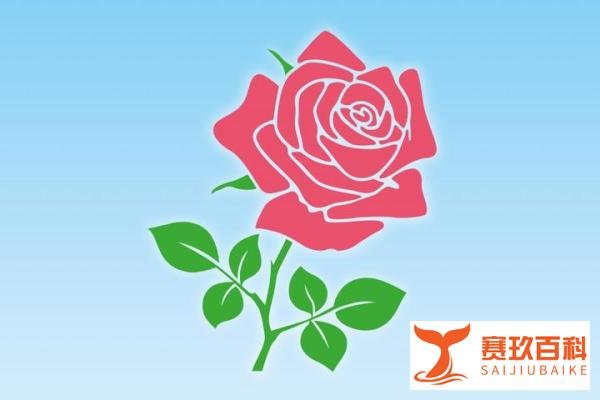你买的情人节玫瑰,可能是月季,你收到的情人节玫瑰99%是假的