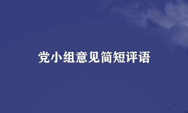 党小组意见简短评语