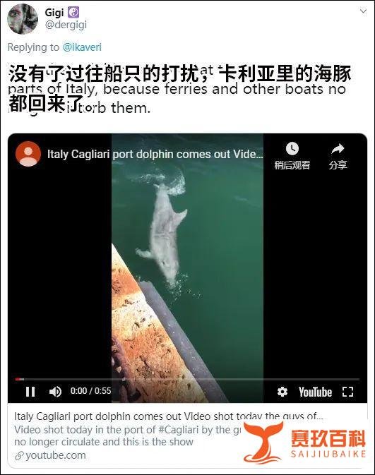一夜之间，意大利变了...