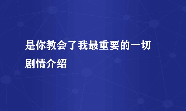是你教会了我最重要的一切 剧情介绍