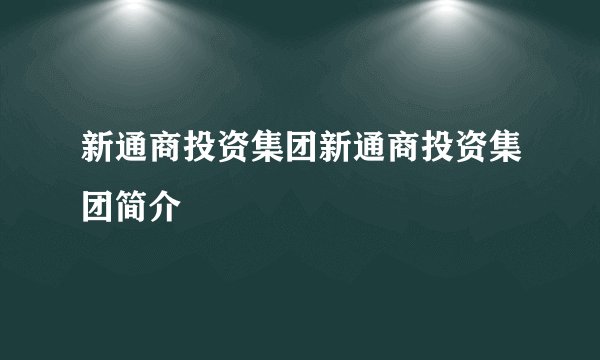 新通商投资集团新通商投资集团简介