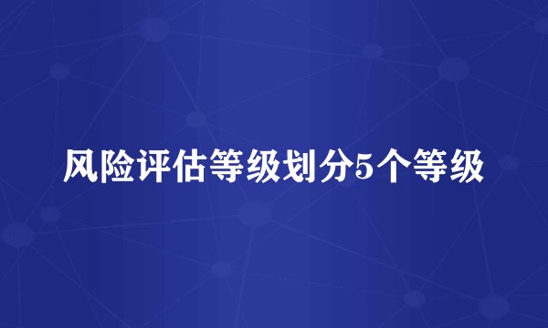风险评估等级划分5个等级