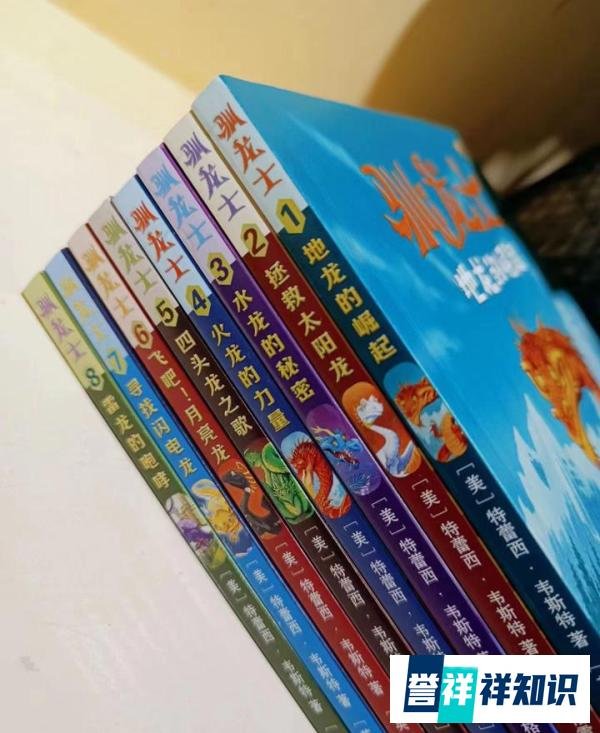 桥梁书：戴上龙石，来和你的龙一起并肩作战吧！
