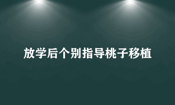 放学后个别指导桃子移植