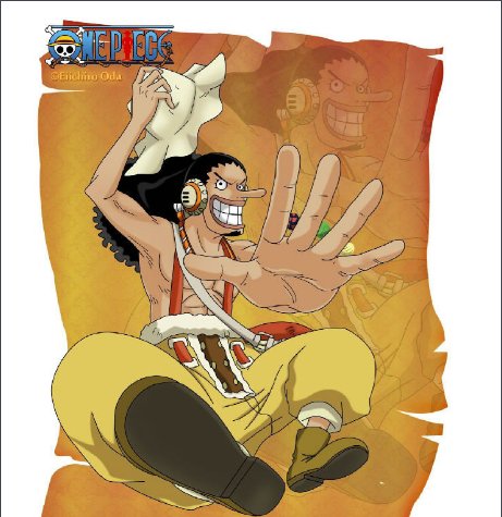 求海贼王所有人物介绍（附图）！