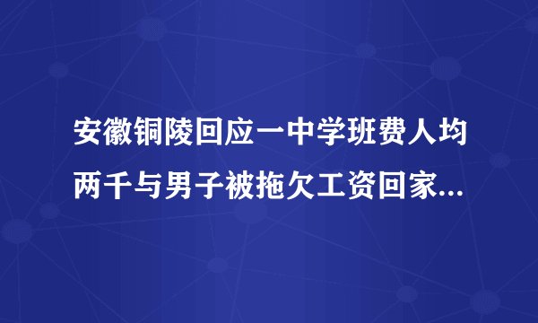 安徽铜陵回应一中学班费人均两千与男子被拖欠工资回家奔丧车费不够
