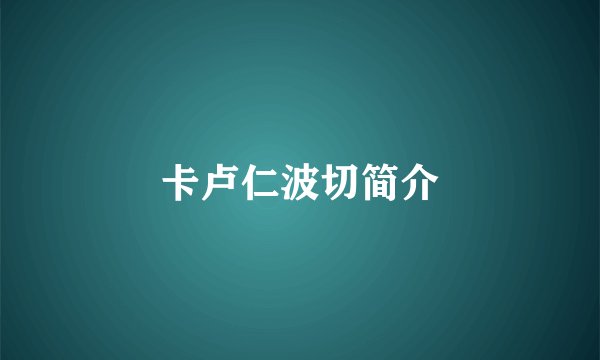 卡卢仁波切简介