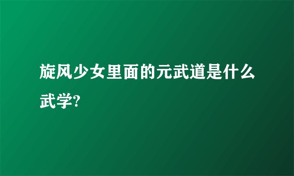 旋风少女里面的元武道是什么武学?