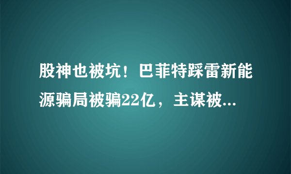 股神也被坑！巴菲特踩雷新能源骗局被骗22亿，主谋被判处30年
