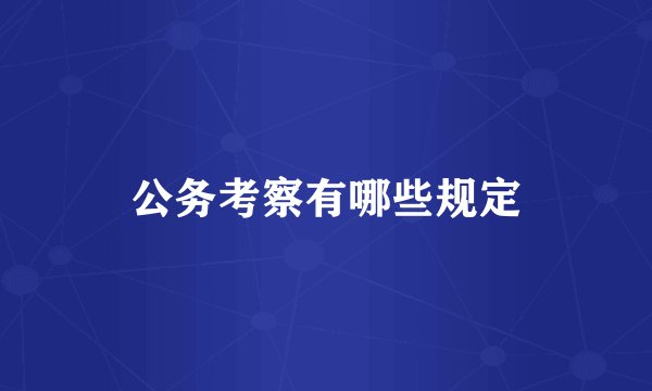 公务考察有哪些规定