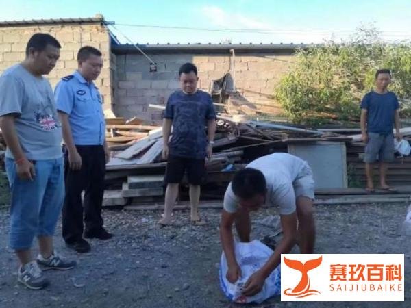 女孩网购毒蛇当宠物,一个月后身亡:谁的责任最大?