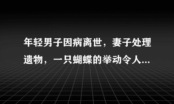 年轻男子因病离世，妻子处理遗物，一只蝴蝶的举动令人难以解释？