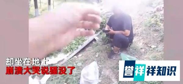 货车爆胎侧翻，司机崩溃大哭：我没事，猫不见了！