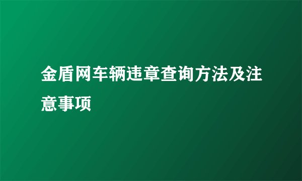 金盾网车辆违章查询方法及注意事项