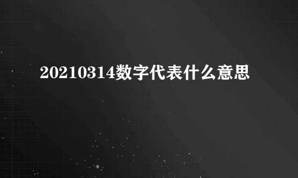 20210314数字代表什么意思