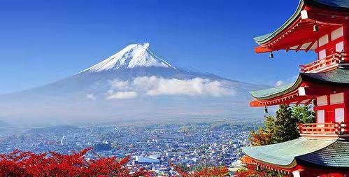 警惕!日本发现一种能感染人类的新型病毒!