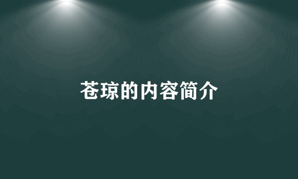苍琼的内容简介