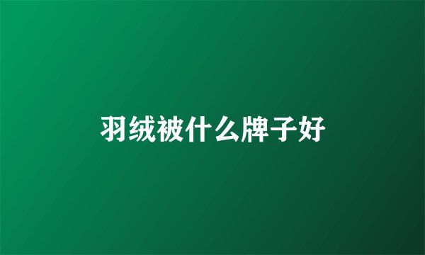 羽绒被什么牌子好