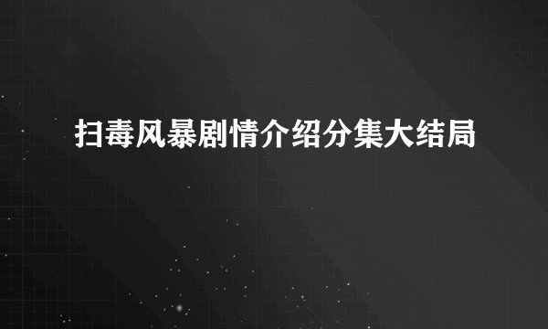 扫毒风暴剧情介绍分集大结局