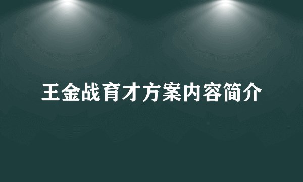 王金战育才方案内容简介